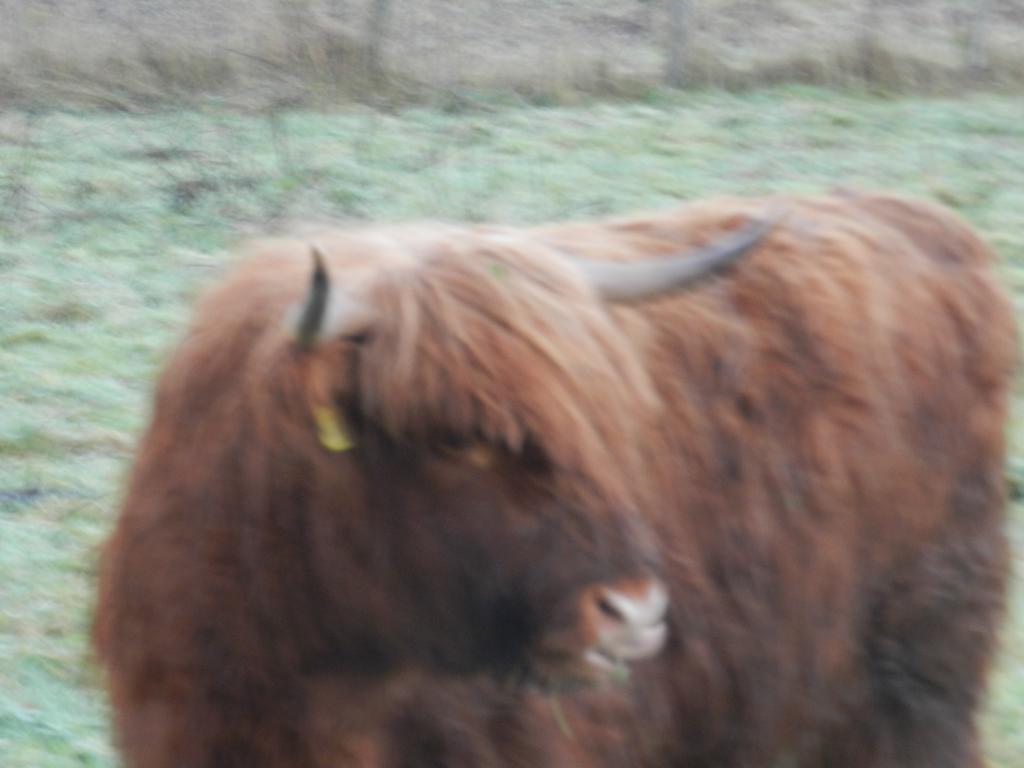 Clunebeg Lodge Drumnadrochit Kültér fotó